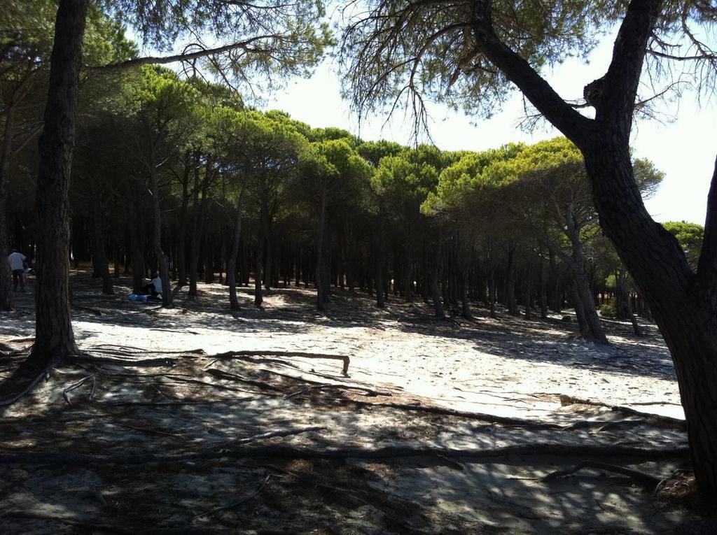 Case Vacanze Budoni Beach Zimmer foto